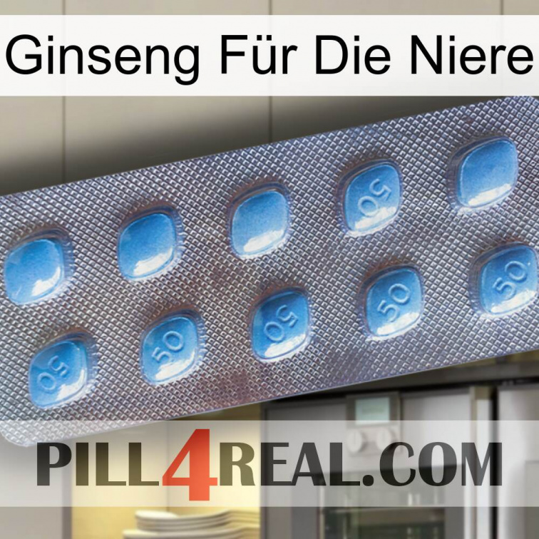 Ginseng Für Die Niere viagra3